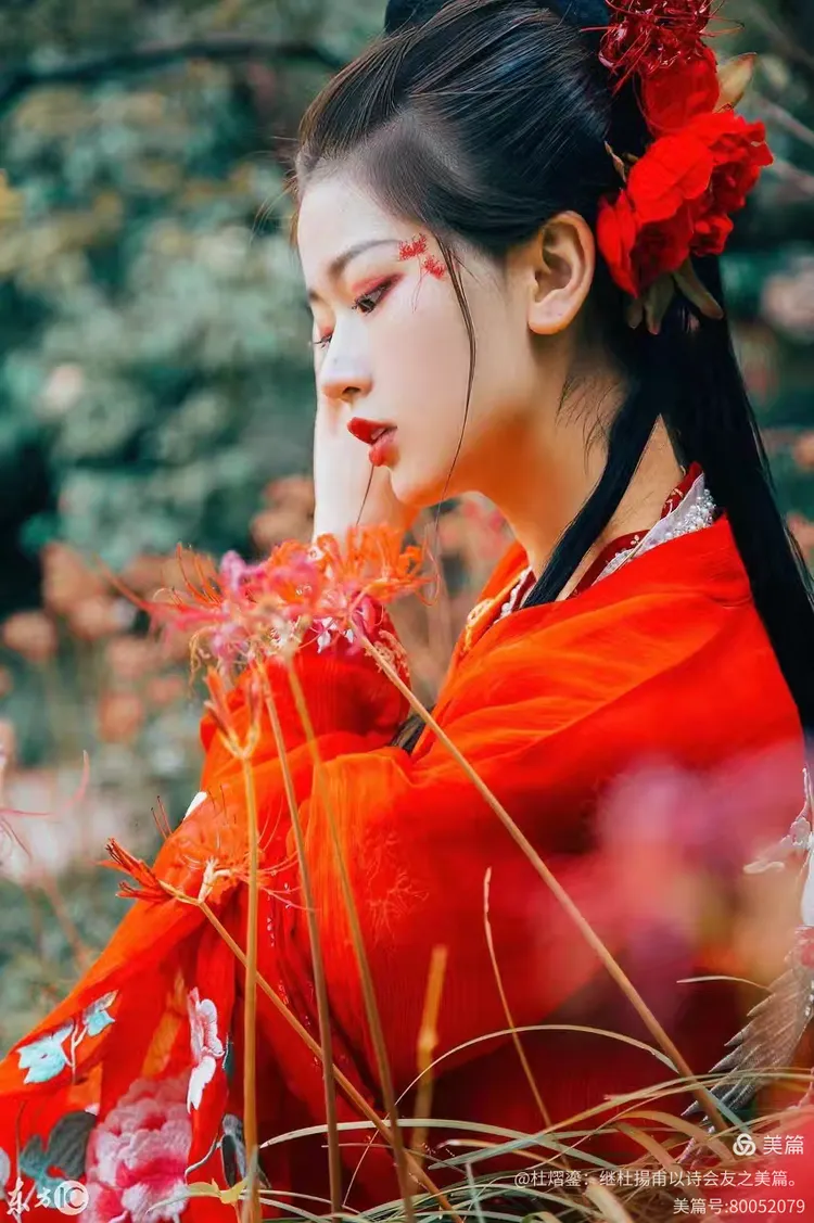 琼诗三千:七言古风体藏头步韵《曼珠沙华》第178首.咏红色彼岸花